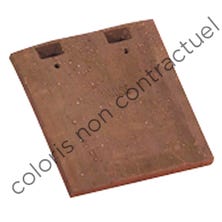 HISTORICAL MONUMENT 16x27 short drain and ridge tile Rustique Nuagé